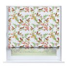 Певчие птички