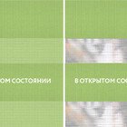 Basic светло-зеленый